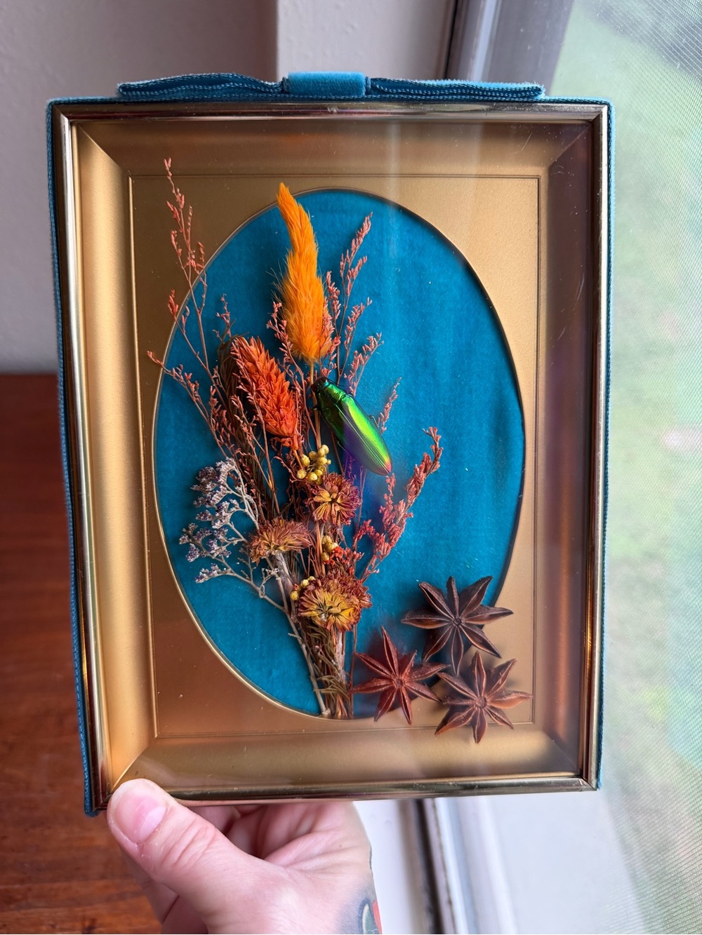Teal Framed Jewel Beetle and Dried Flower Shadowbox with Orange Accents